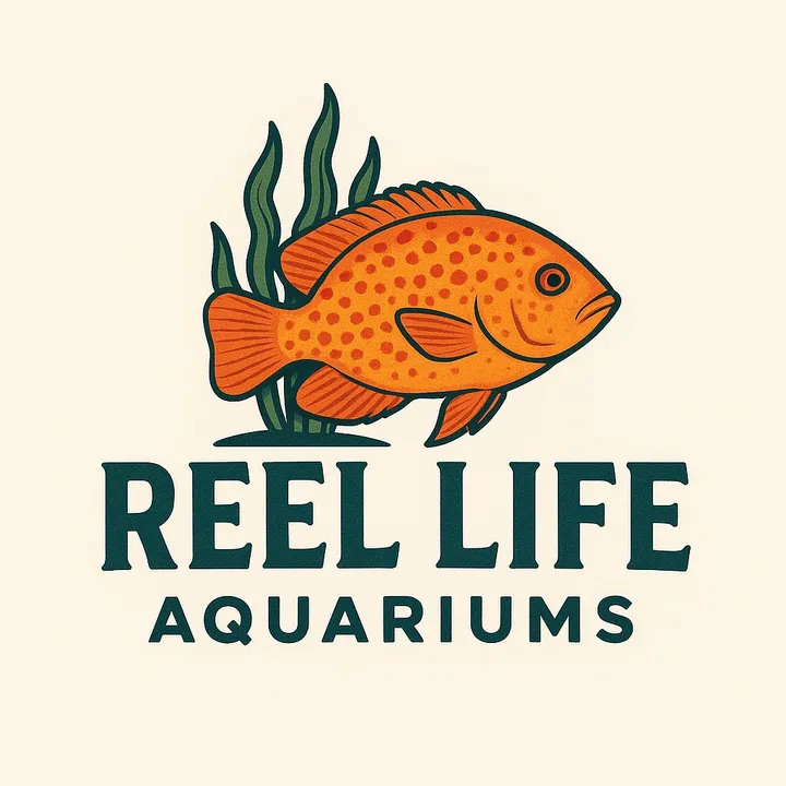 reellifeaquariums