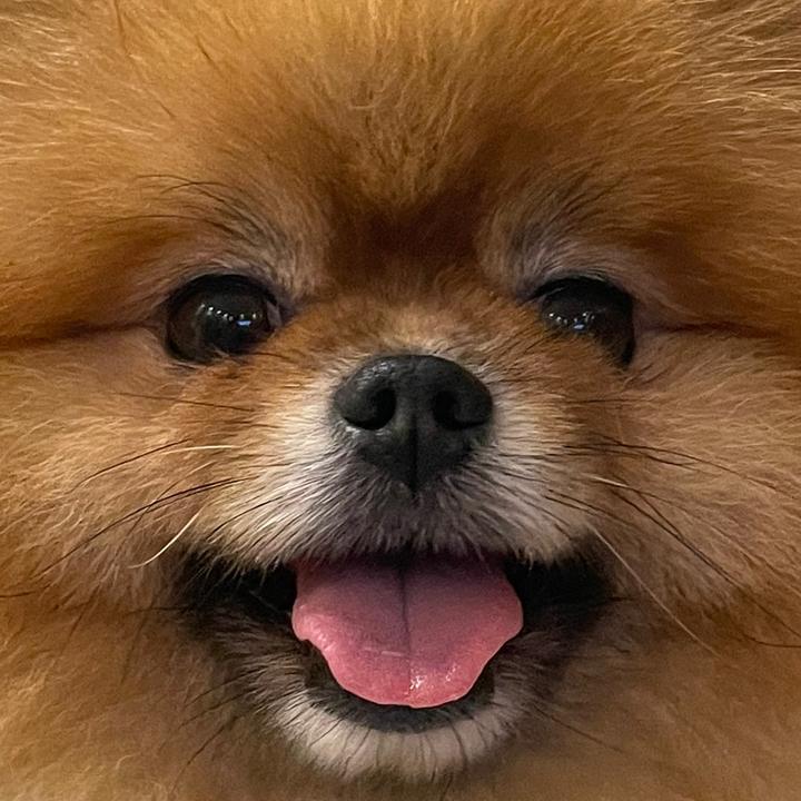 Bubi.Boo - suara asli