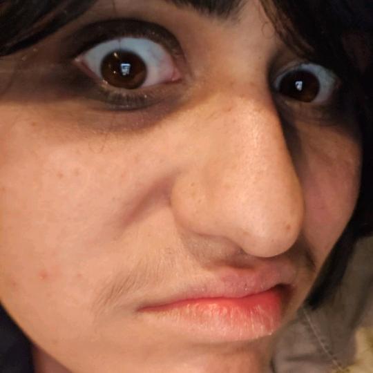 @shunappucos