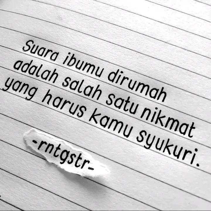 storyof14