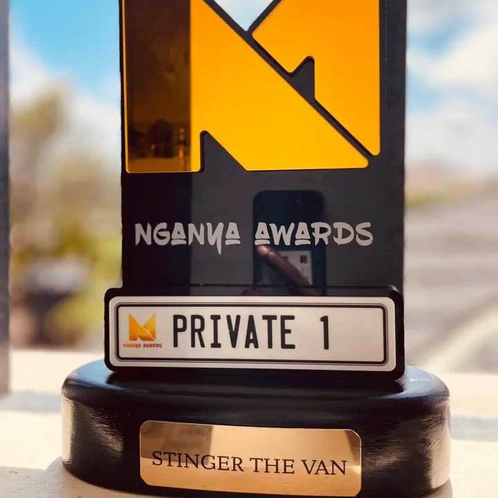 stinger_the_van