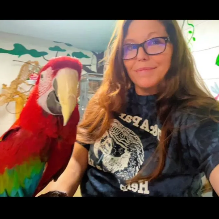 thecrystalparrot