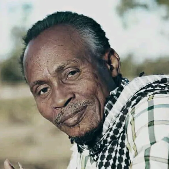 hamisimbega