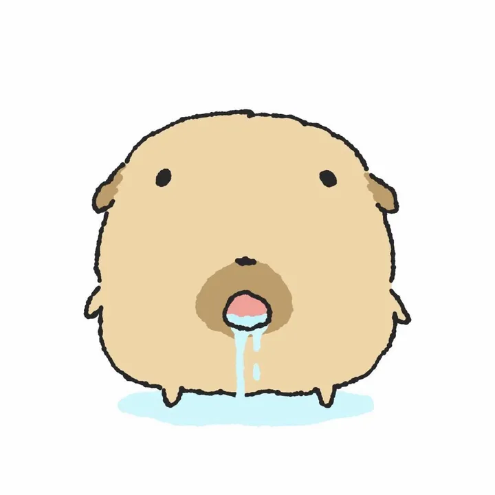 @sakiroll