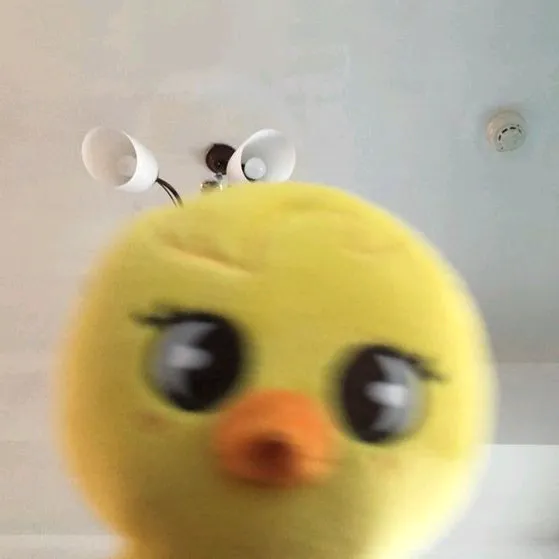 paper..duck..15