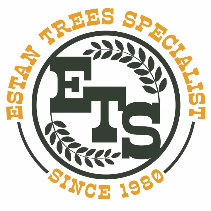 @estantreespecialist