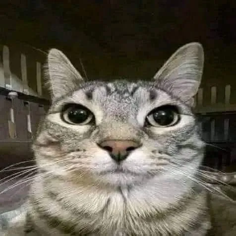 xd_.161