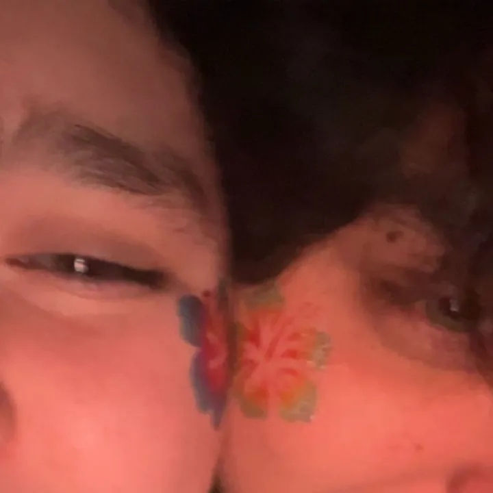bashfulturtle11