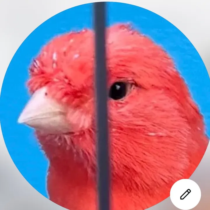 @aviariourena