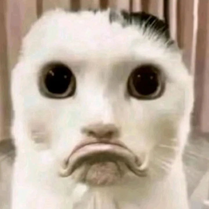 saracasticxx