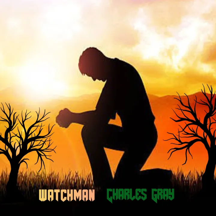 @watchman.charlesgray