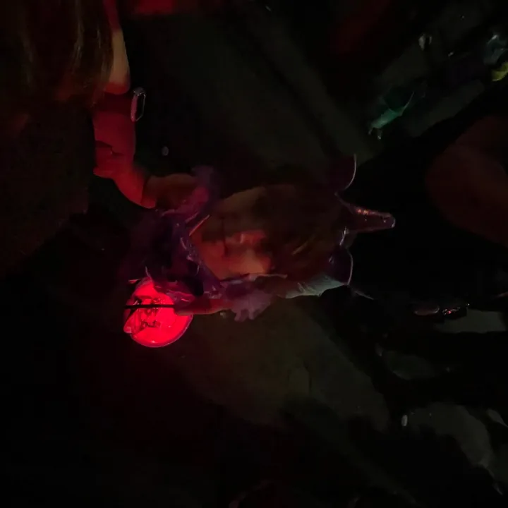 @user7wwtolol03
