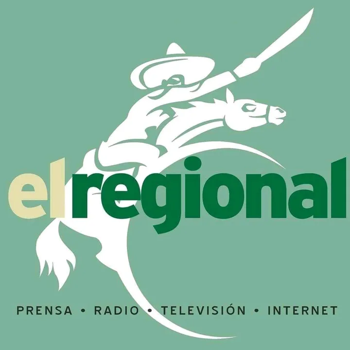 elregionaldelsur