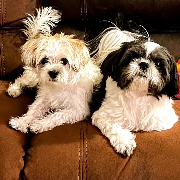livinlifewithsugieandson