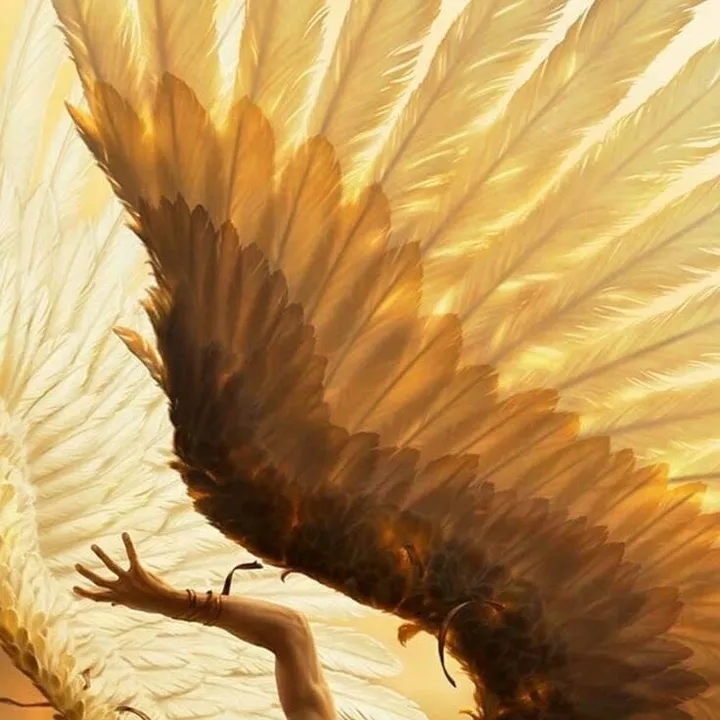 celestial.moth.cos