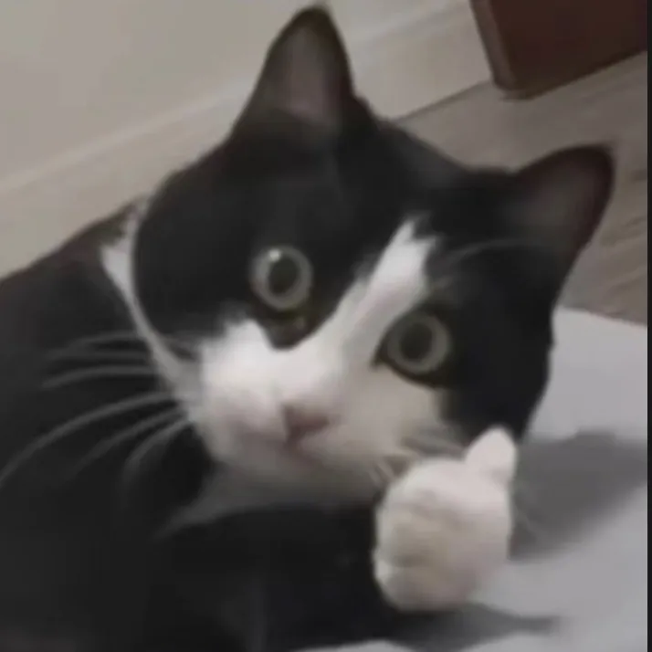 oootikxtokooo