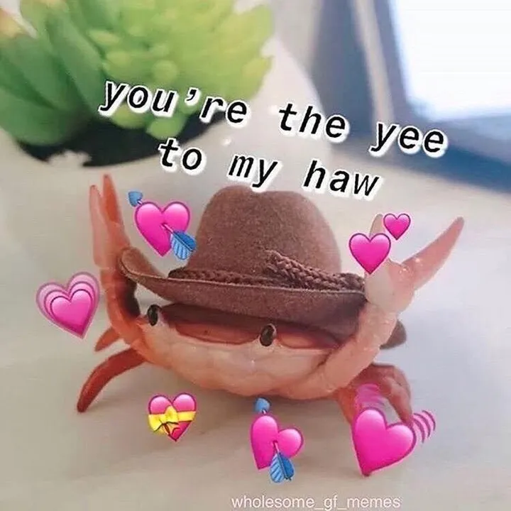 @chase_wav