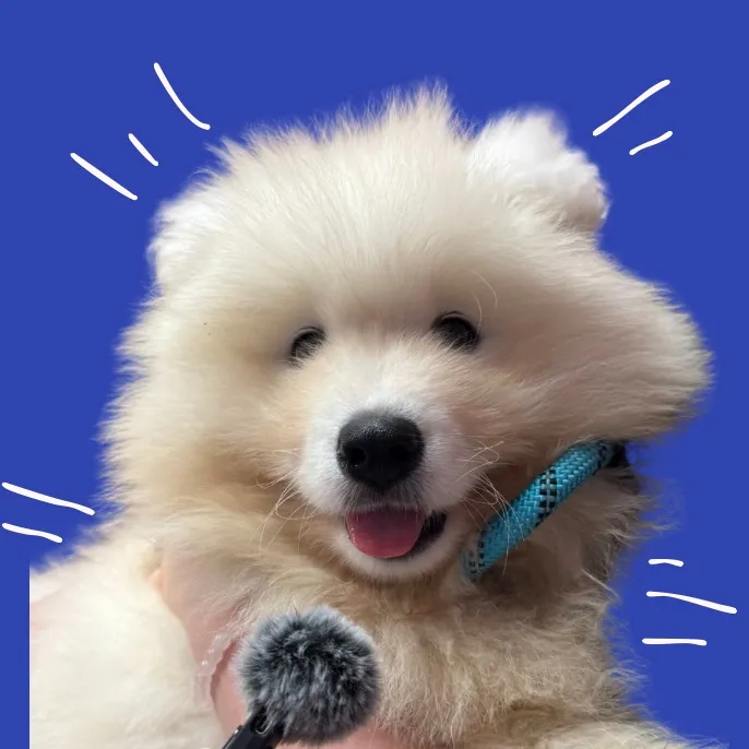 @its.mishka.the.samoyed