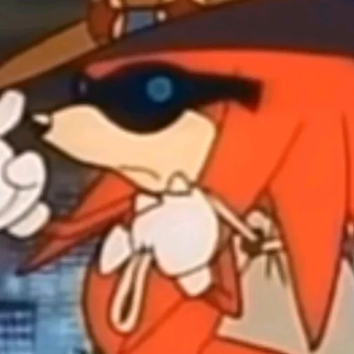 @knuckles_the_echinda1