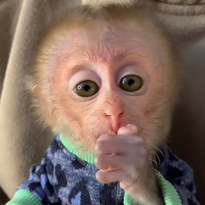𝐍𝐚𝐢🌀 - suara asli