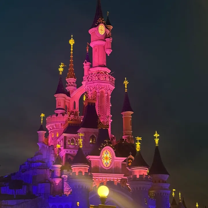 ditsydoesdisney
