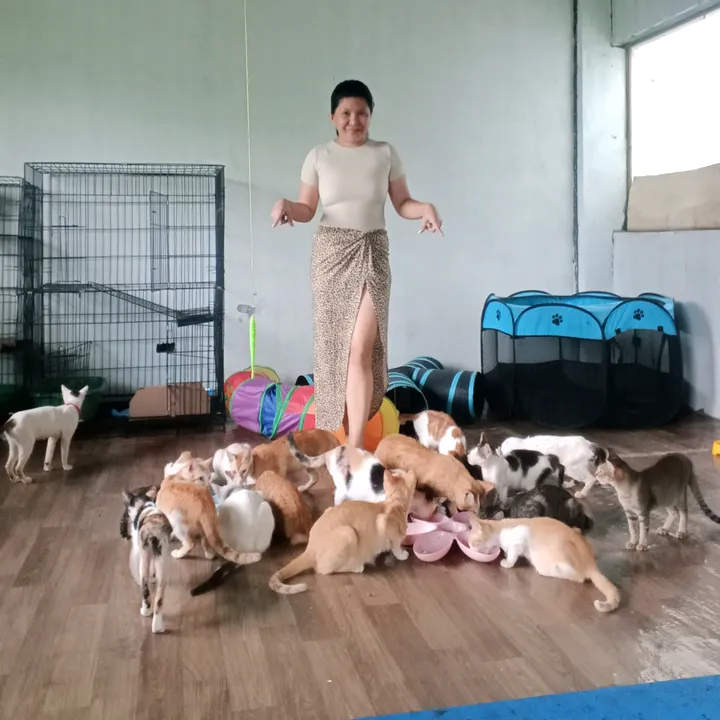 @mylharescues