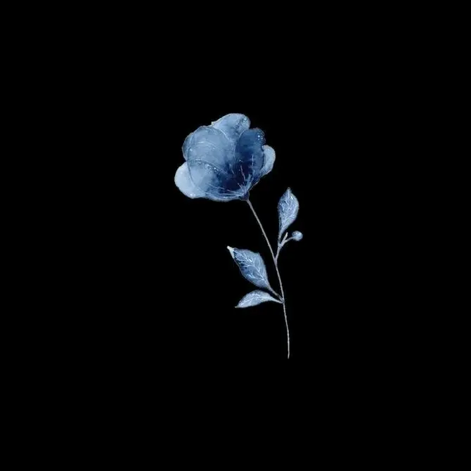 🫀 - suara asli