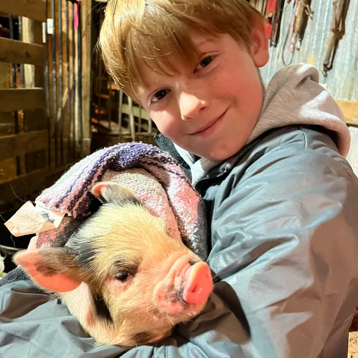 jepsfarm