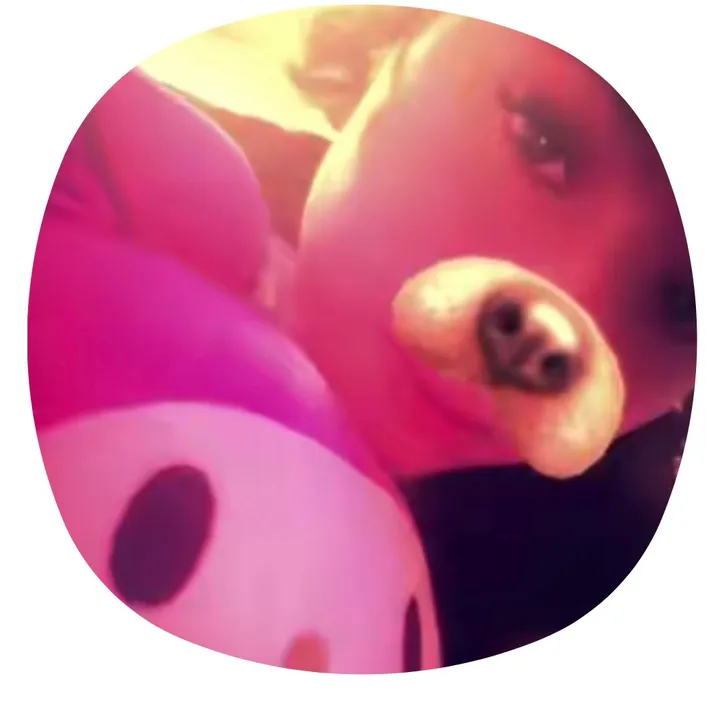 @melody11_72