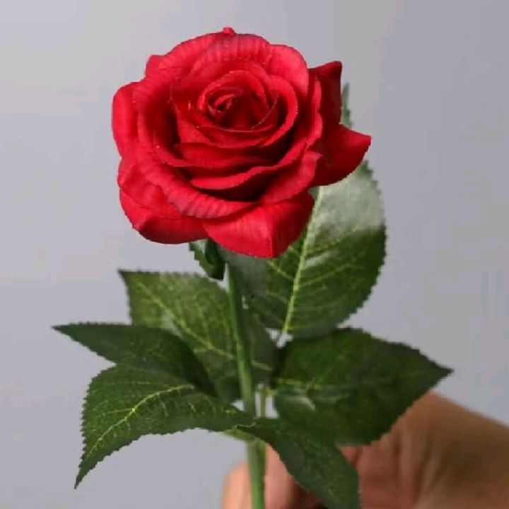 @Nanonano🌹 - Masa Lalu.