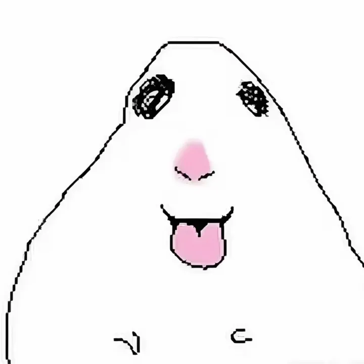 its.ryssa