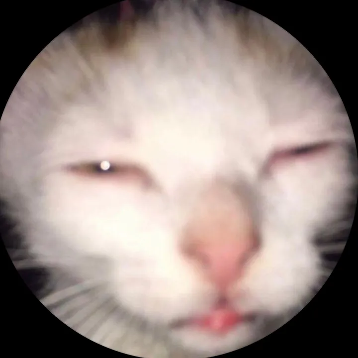 wh4toncewas
