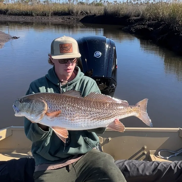 its_da_fishslayer