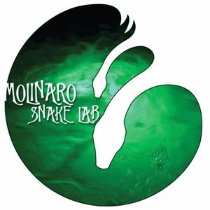molinaro_snake_lab