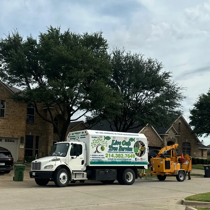 liveoaktreeservice