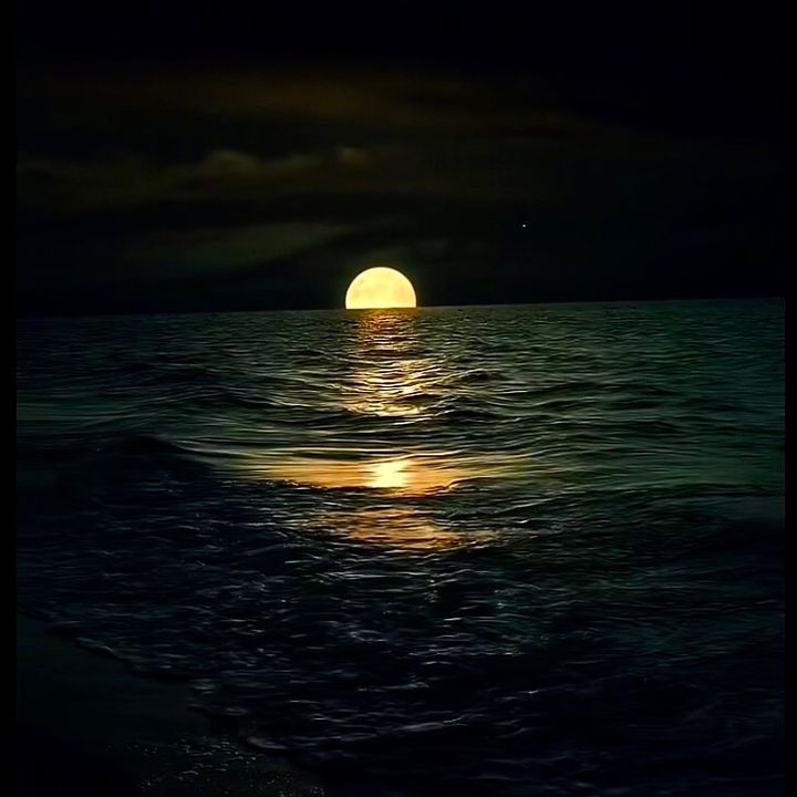 _samanda.09