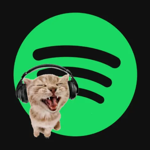Spotify - suara asli