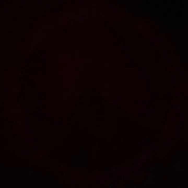 @upchurchfan2019