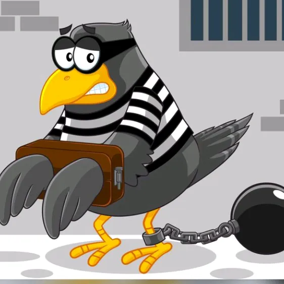 @jailbirdconnection