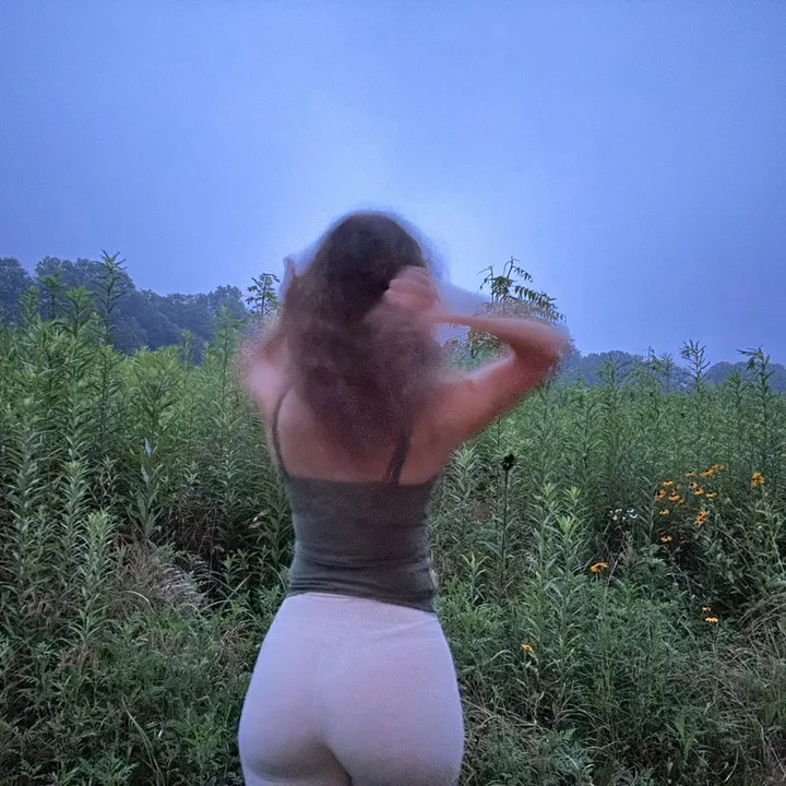 fayeacadia