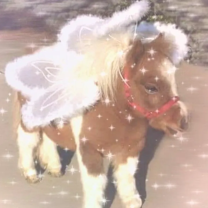 twinkletoestickler3000