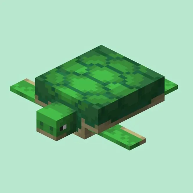 @turtles0004
