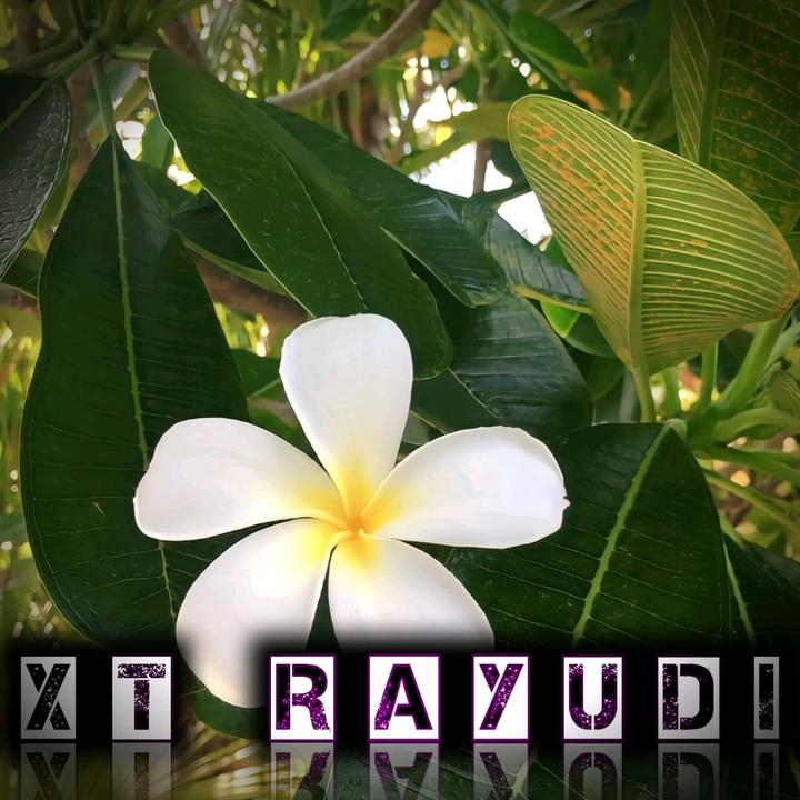 XT Rayudi - Joged Lagi