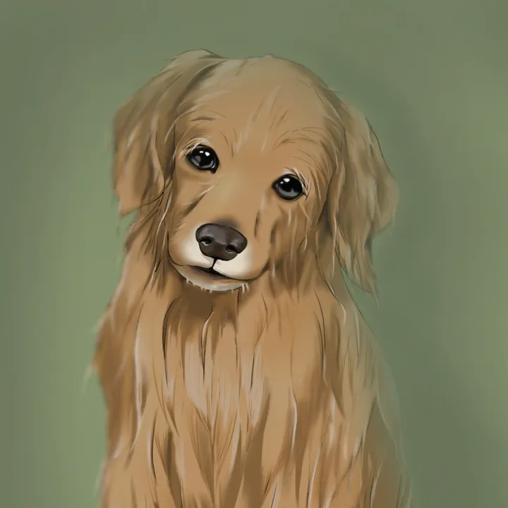 _yukidog_