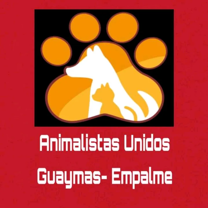 animalistasunidosgymsemp
