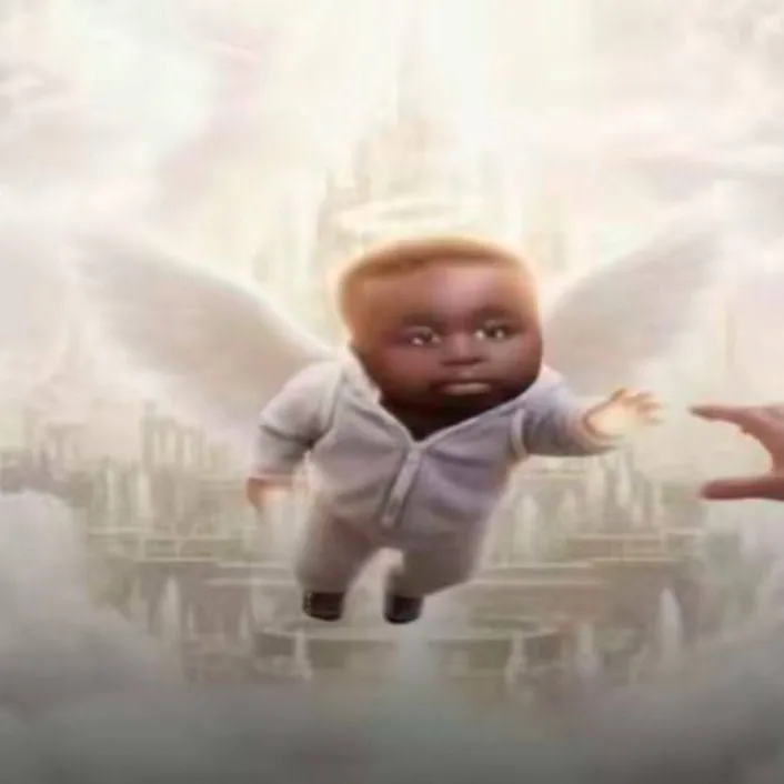 dboggodb
