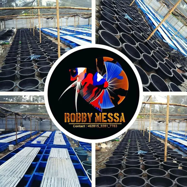 robby_messa