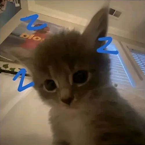 @veryboard56_