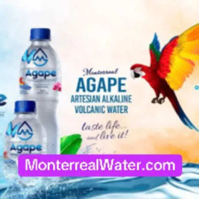 @monterrealagape