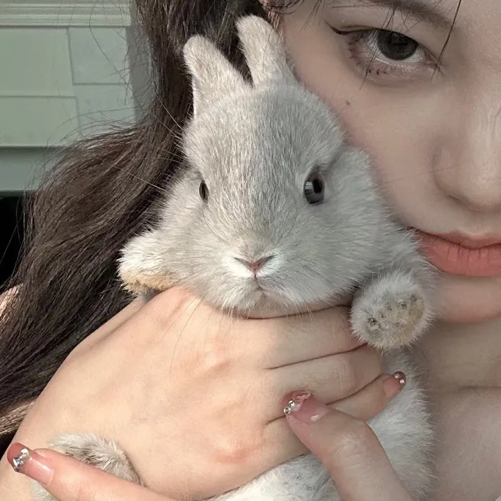 @vmuaek